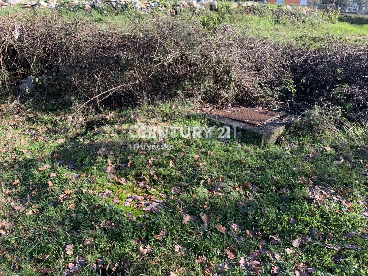 Prodaja, zemljišče, zazidljivo, Istarska županija, Sveti Lovreč