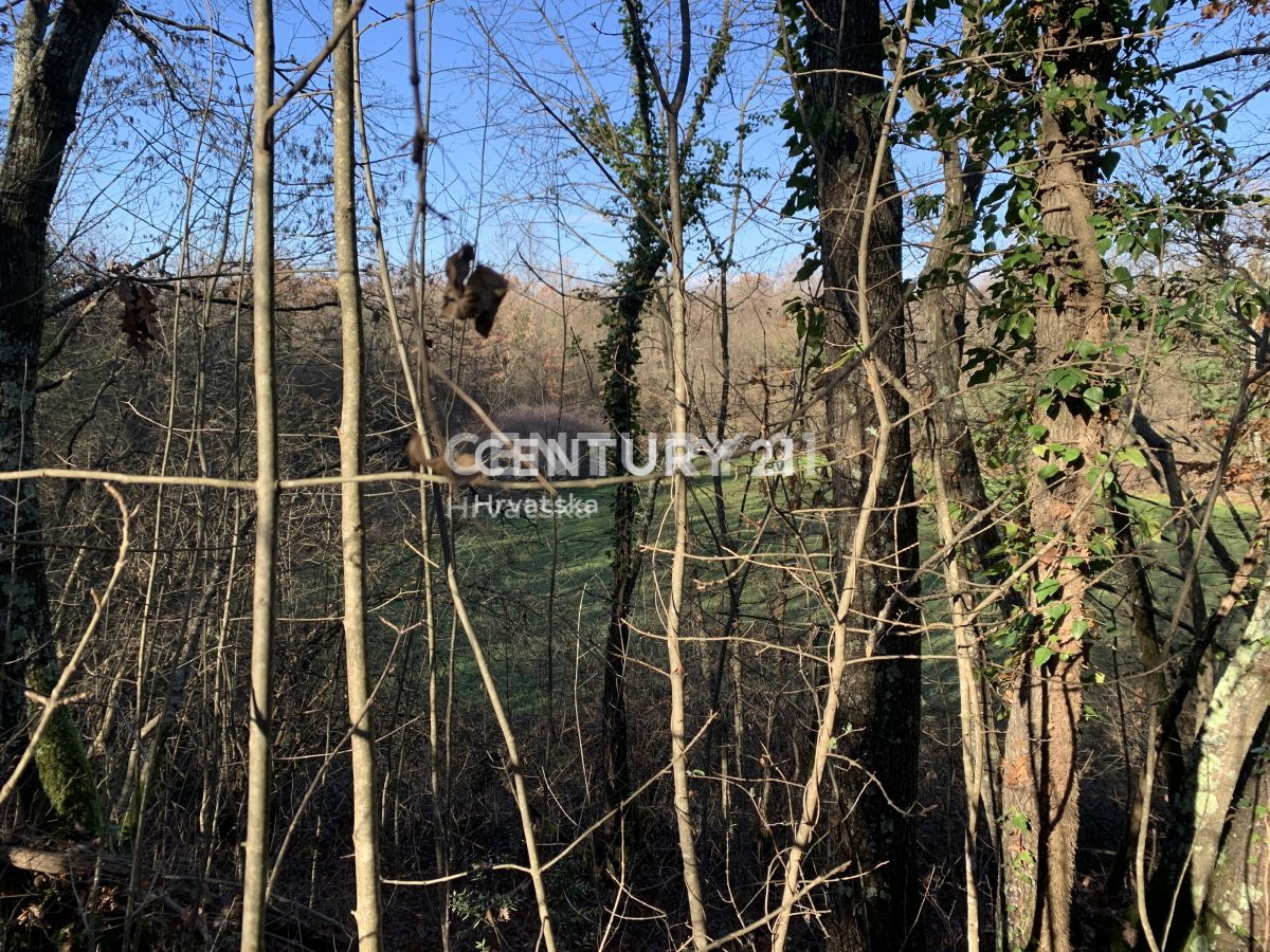 Prodaja, zemljišče, gradbeno, Istarska županija, Sveti Lovreč
