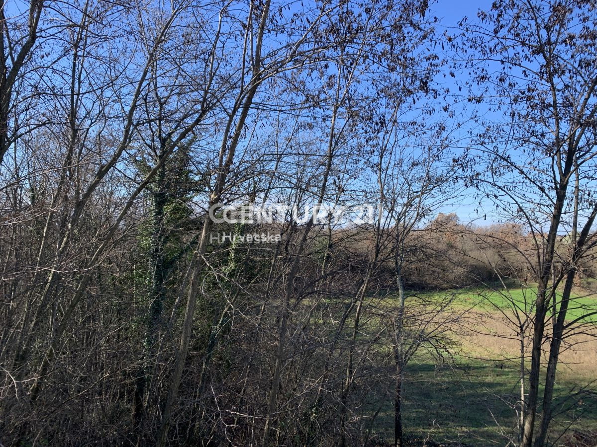 Prodaja, zemljišče, gradbeno, Istarska županija, Sveti Lovreč
