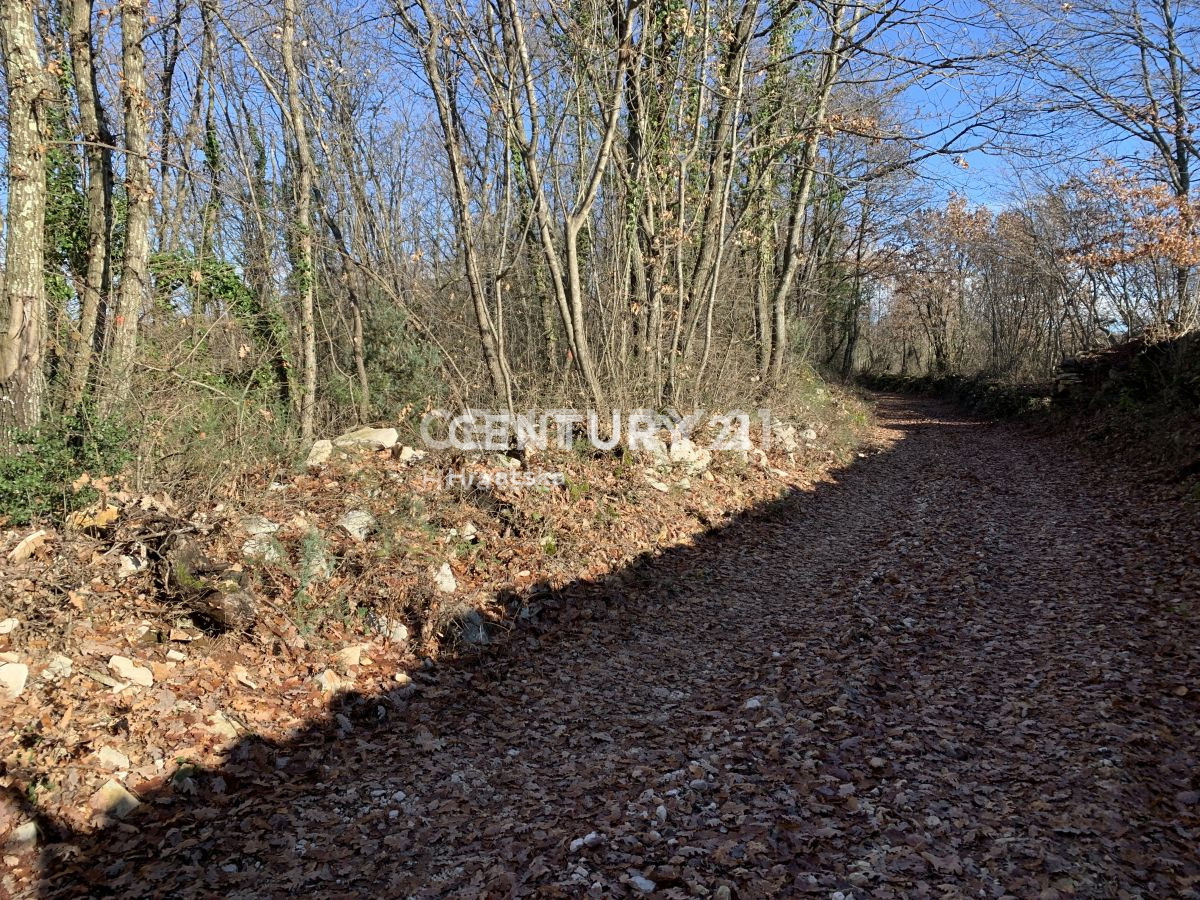 Prodaja, zemljišče, gradbeno, Istarska županija, Sveti Lovreč