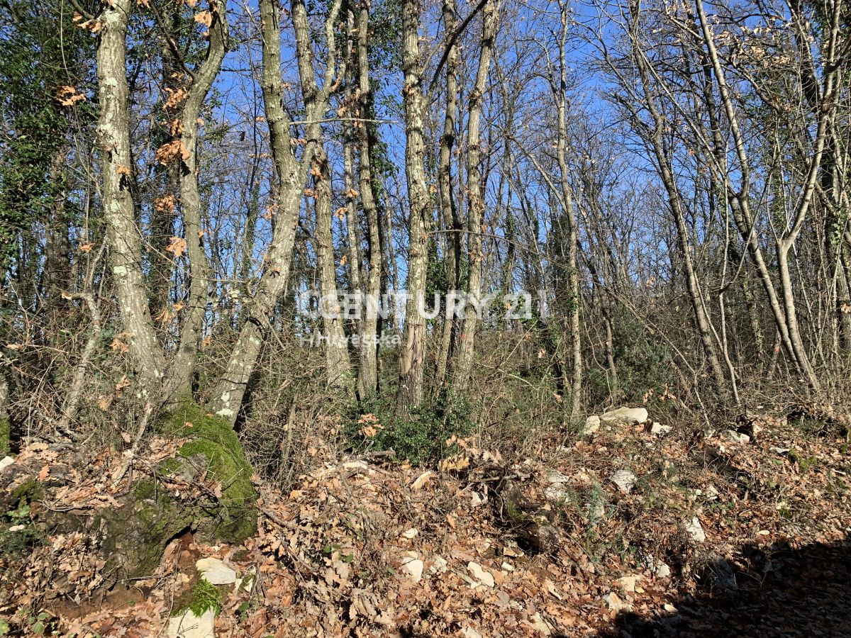 Prodaja, zemljišče, gradbeno, Istarska županija, Sveti Lovreč