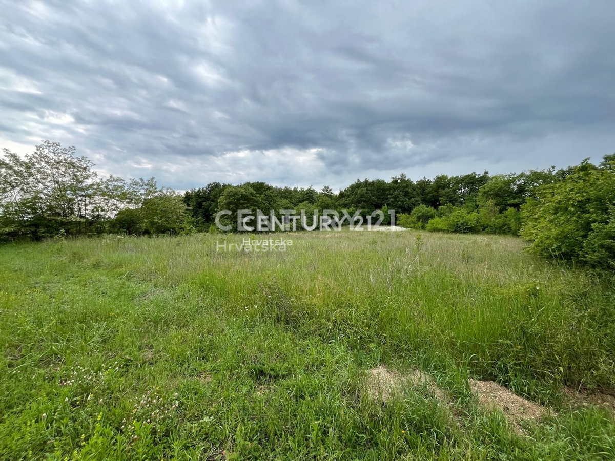 Prodaja, zemljišče, gradbeno, Istarska županija, Svetvinčenat