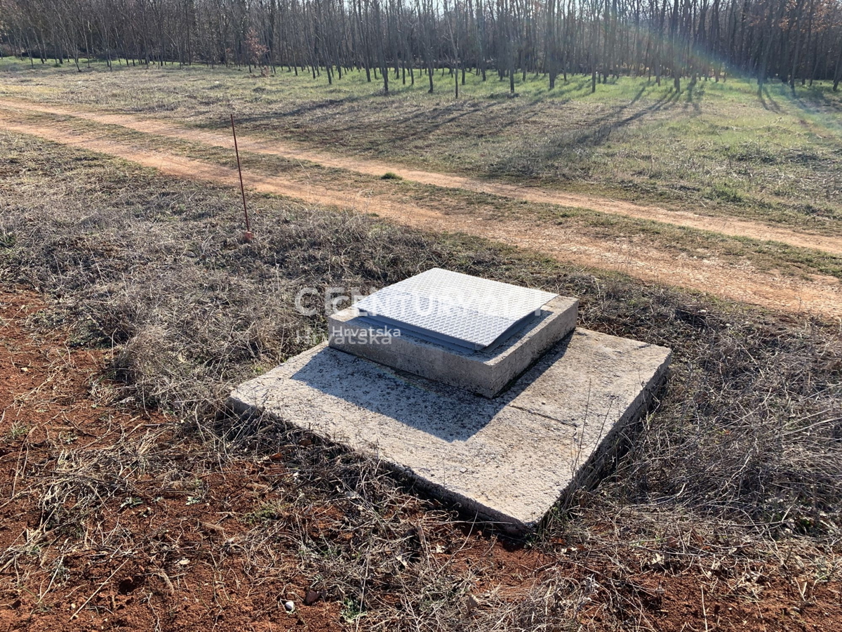 Prodaja, zemljišče, za investicijo, Istarska županija, Poreč, Radoši pri Žbandaju