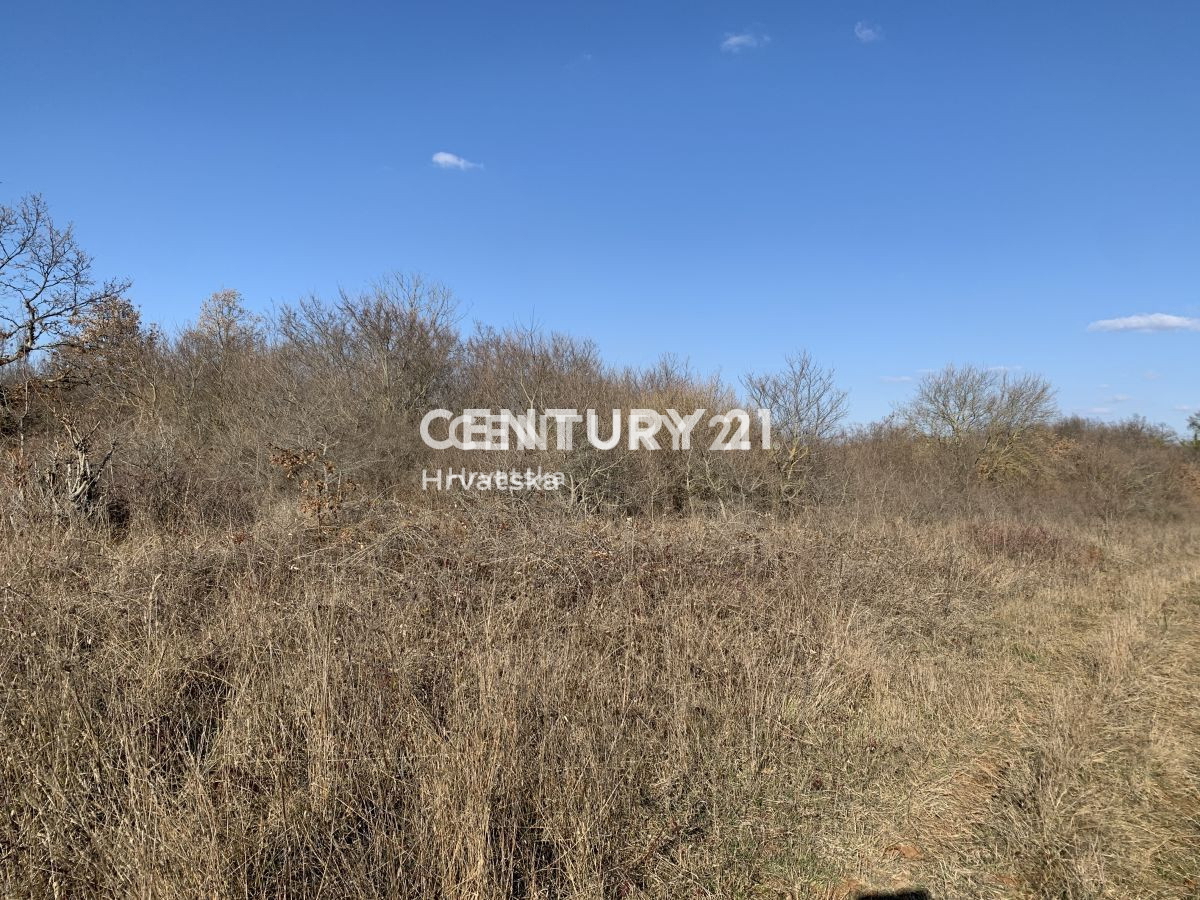 Prodaja, zemljišče, za investicijo, Istarska županija, Poreč, Radoši pri Žbandaju