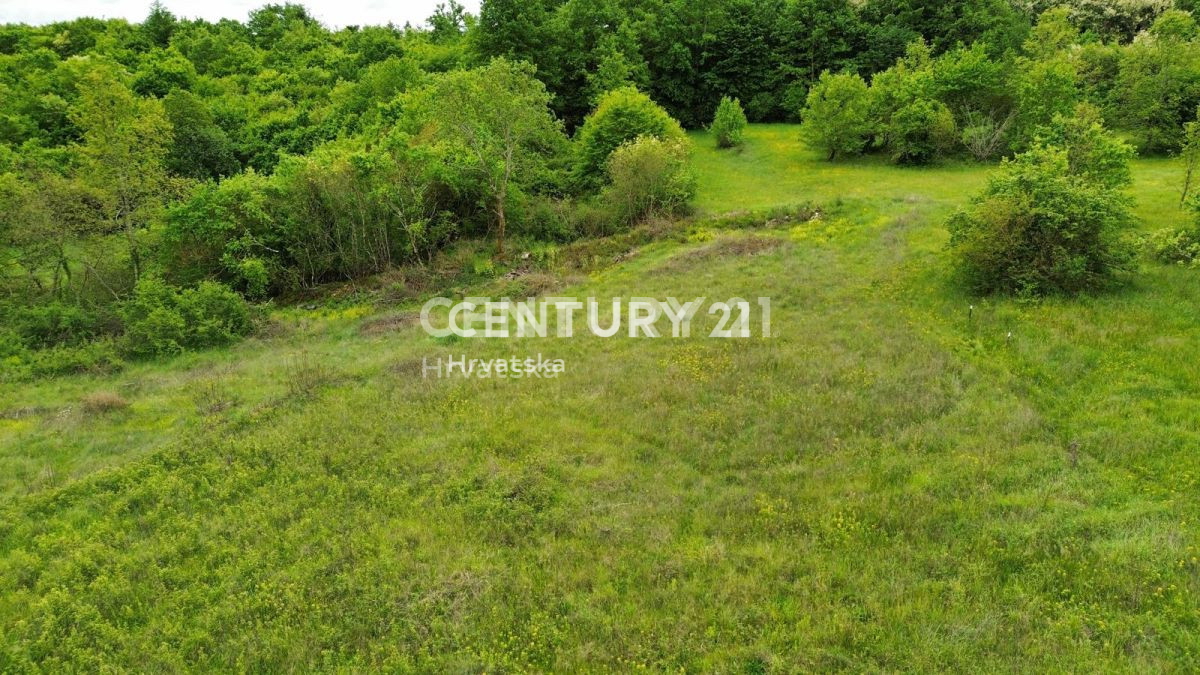 Prodaja, zemljišče, gradbeno, Istarska županija, Sveti Lovreč