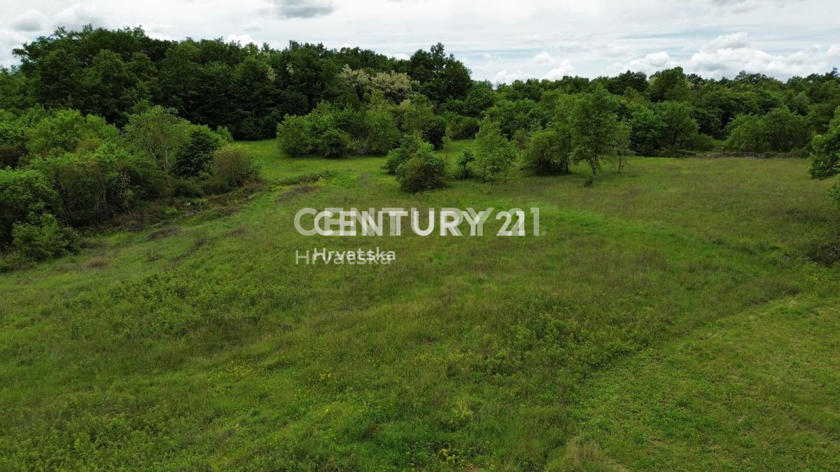 Prodaja, zemljišče, gradbeno, Istarska županija, Sveti Lovreč