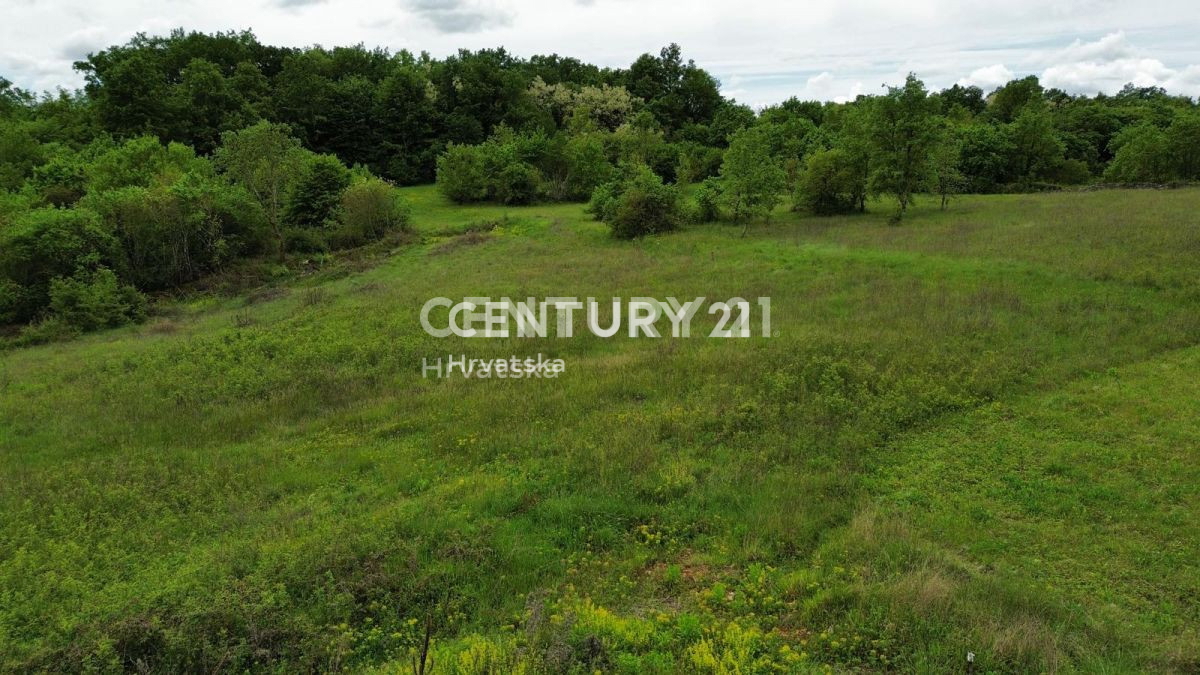 Prodaja, zemljišče, gradbeno, Istarska županija, Sveti Lovreč