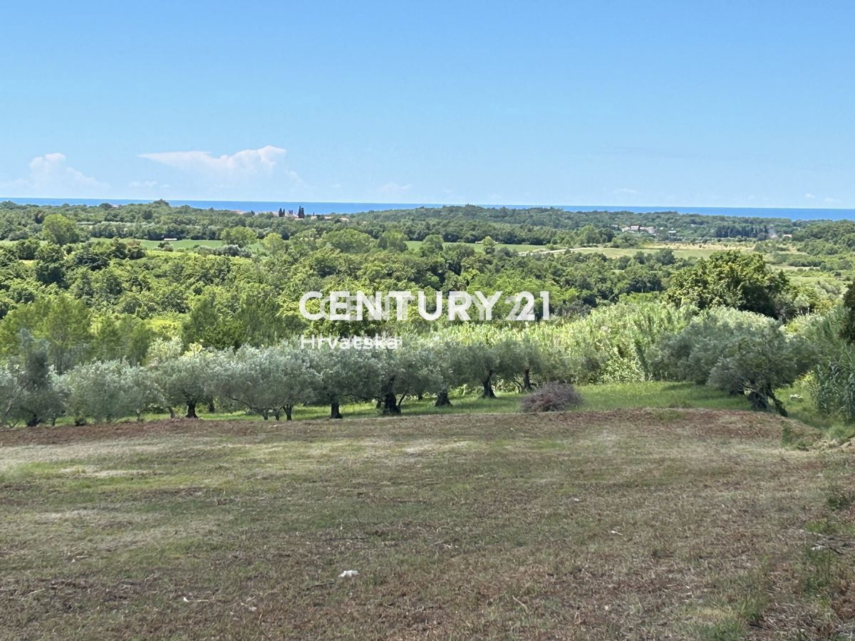BUJE, ATRAKTIVNO GRADBENO ZEMLJIŠČE S PANORAMSKIM RAZGLEDOM NA MORJE