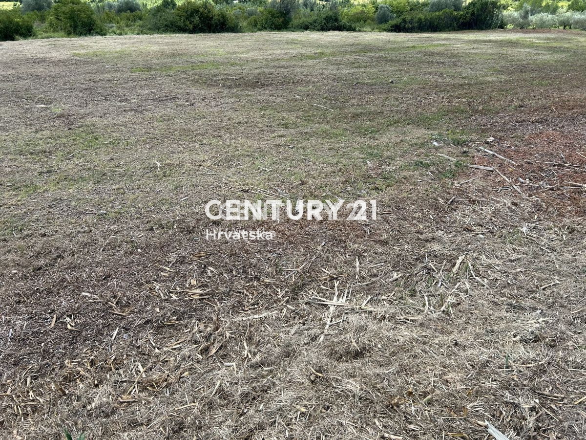 BUJE, ATRAKTIVNO GRADBENO ZEMLJIŠČE S PANORAMSKIM RAZGLEDOM NA MORJE