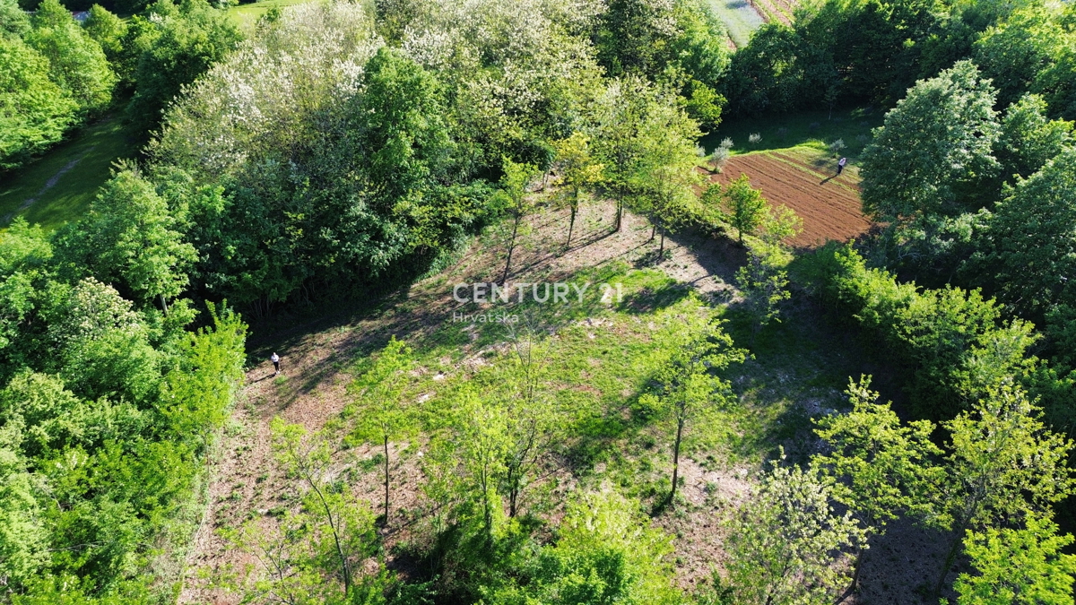 KRŠAN, ZEMLJIŠČE Z GRADBENO DOVOLJENJEM