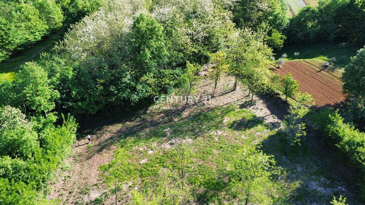 KRŠAN, ZEMLJIŠČE Z GRADBENO DOVOLJENJEM