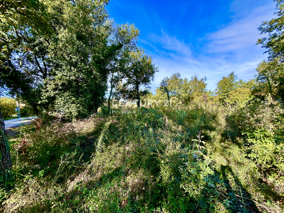 POREČ, OKOLICA, GRADBENO ZEMLJIŠČE SAMO 5 KM OD CENTRA POREČA