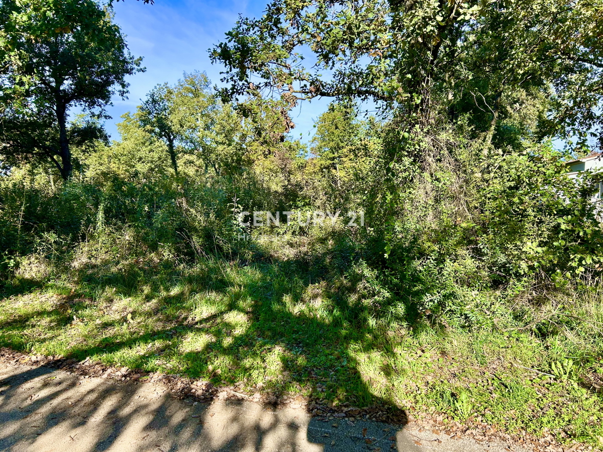 POREČ, OKOLICA, GRADBENO ZEMLJIŠČE SAMO 5 KM OD CENTRA POREČA