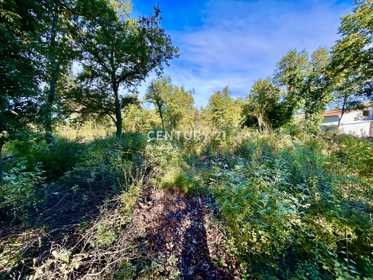 POREČ, OKOLICA, GRADBENO ZEMLJIŠČE SAMO 5 KM OD CENTRA POREČA
