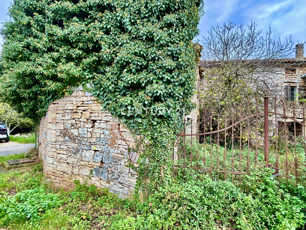 SVETI LOVREČ, OKOLICA, AVTOHTONO ISTARSKO POSESTVO