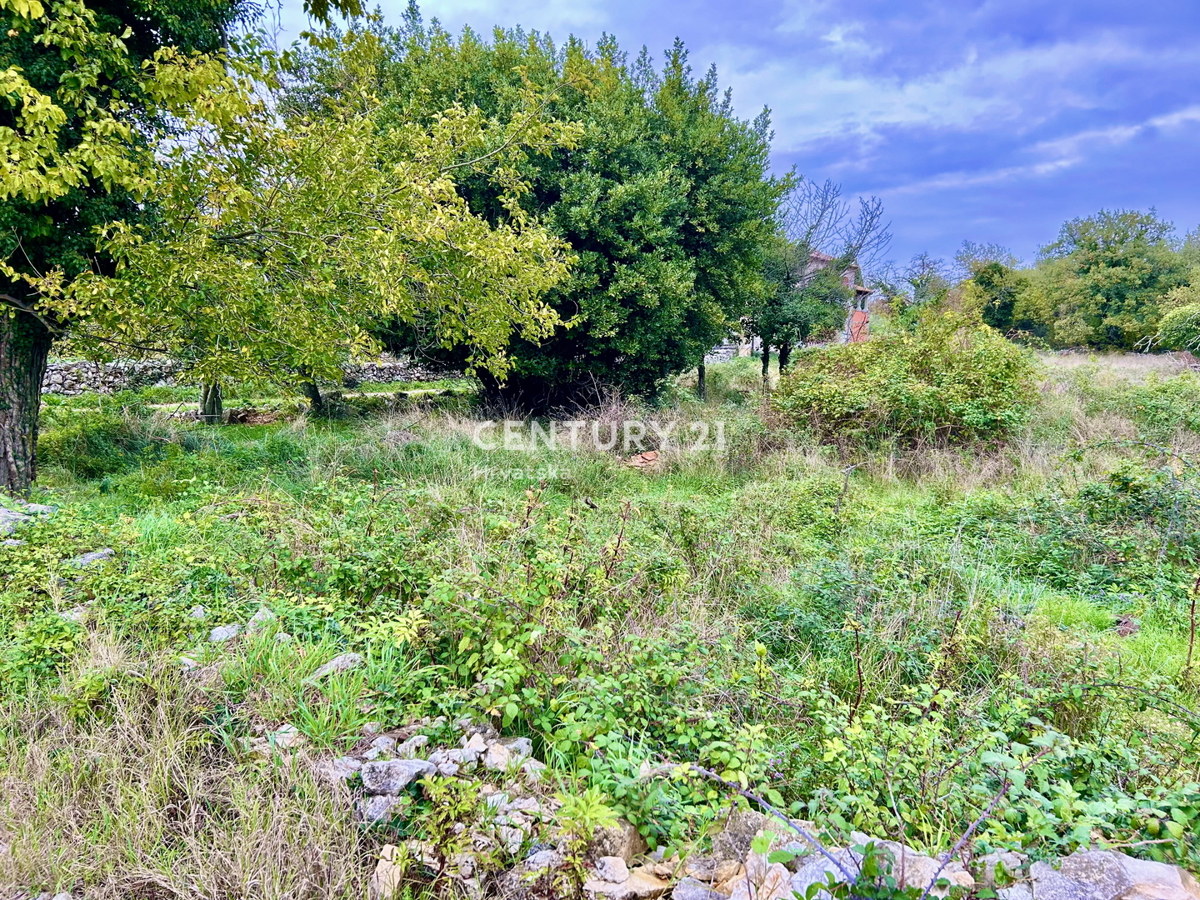 SVETI LOVREČ, OKOLICA, AVTOHTONO ISTARSKO POSESTVO