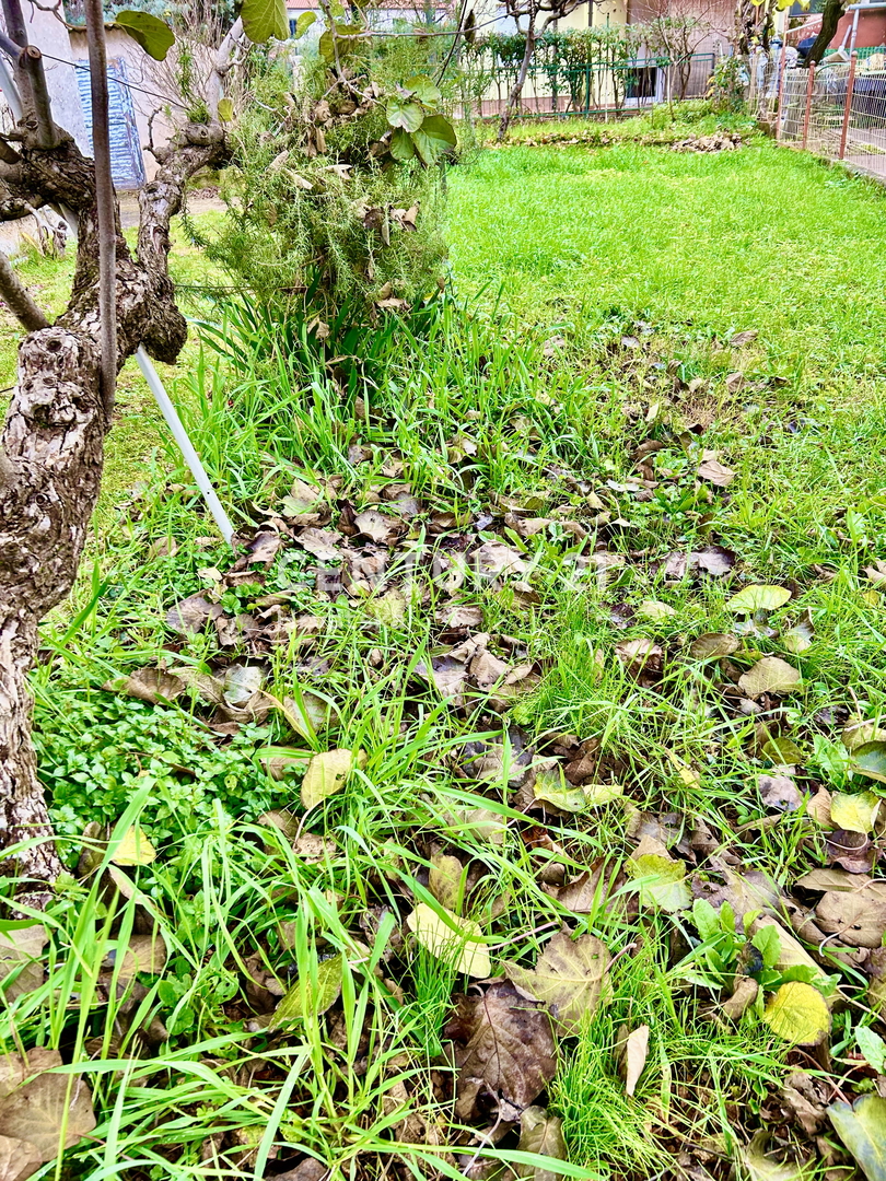 UMAG, CENTAR, STAN SA PUNO POTENCIJALA NA TOP LOKACIJI..PRILIKA!

UMAG, CENTAR, STAN S VELIKÝM POTENCIÁLEM NA VÝBORNÉM MÍSTĚ..PŘÍLEŽITOST!

UMAG, CENTAR, MIESZKANIE Z WIELKIM POTENCJAŁEM W DOSKONAŁEJ LOKALIZACJI..OKAZJA!

UMAG, CENTAR, NAGY LEHETŐSÉG
