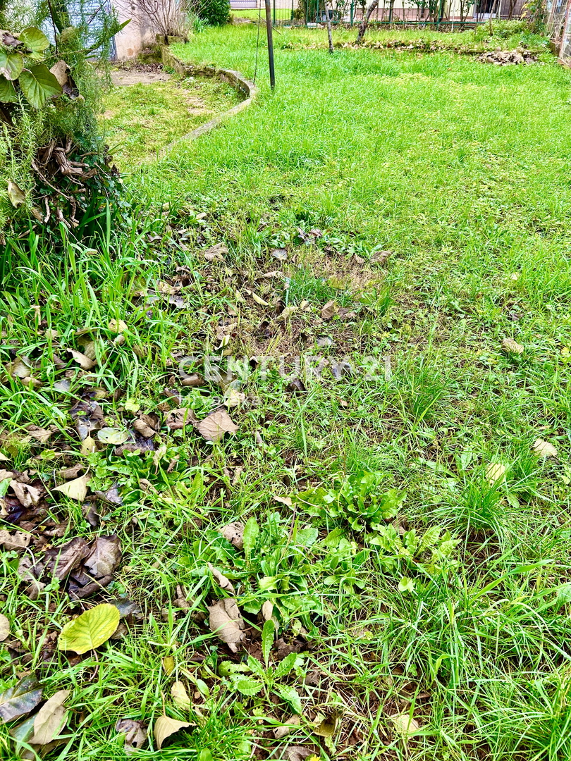 UMAG, CENTAR, STAN SA PUNO POTENCIJALA NA TOP LOKACIJI..PRILIKA!

UMAG, CENTAR, STAN S VELIKÝM POTENCIÁLEM NA VÝBORNÉM MÍSTĚ..PŘÍLEŽITOST!

UMAG, CENTAR, MIESZKANIE Z WIELKIM POTENCJAŁEM W DOSKONAŁEJ LOKALIZACJI..OKAZJA!

UMAG, CENTAR, NAGY LEHETŐSÉG