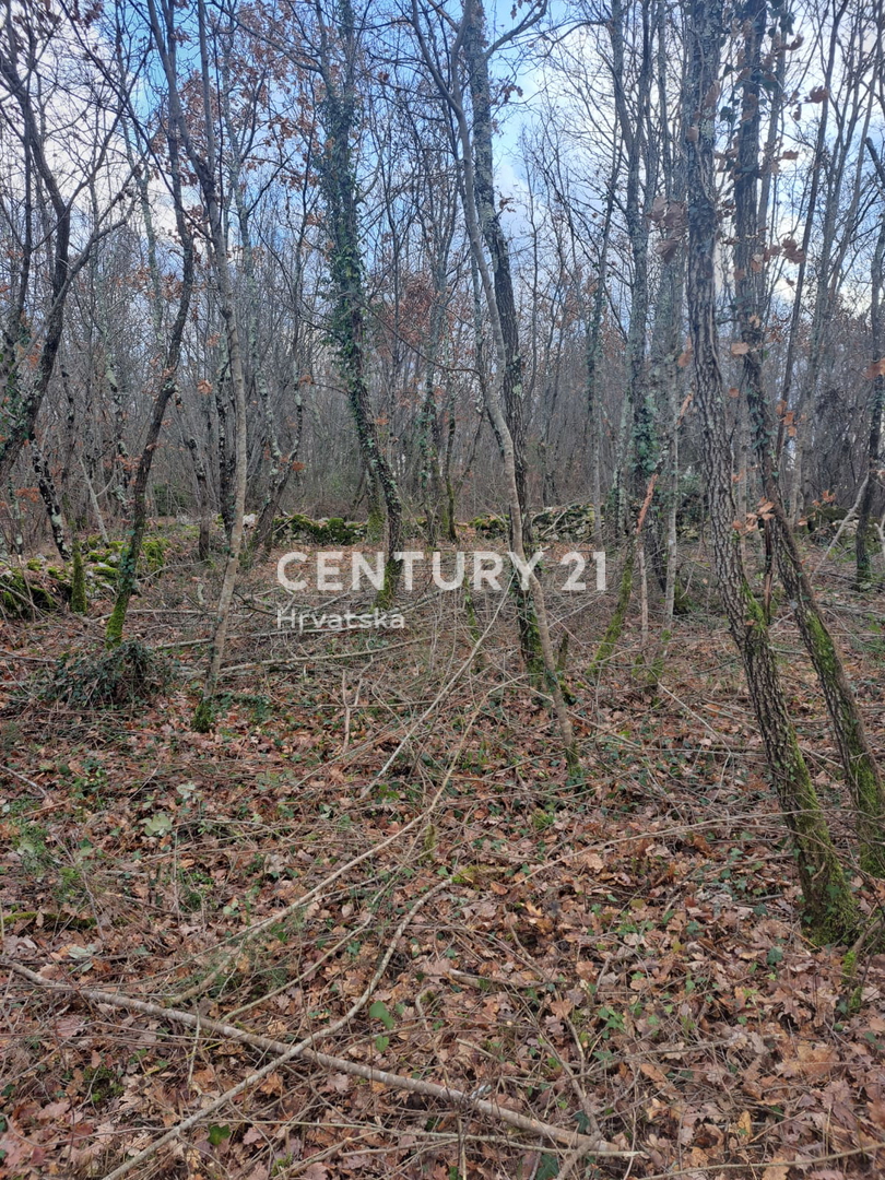 TINJAN, PRODAJA GRADBENEGA ZEMLJIŠČA NA ROBU URBANIZACIJE