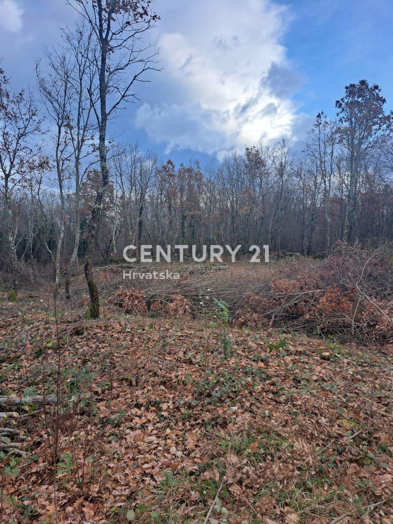 TINJAN, PRODAJA GRADBENEGA ZEMLJIŠČA NA ROBU URBANIZACIJE