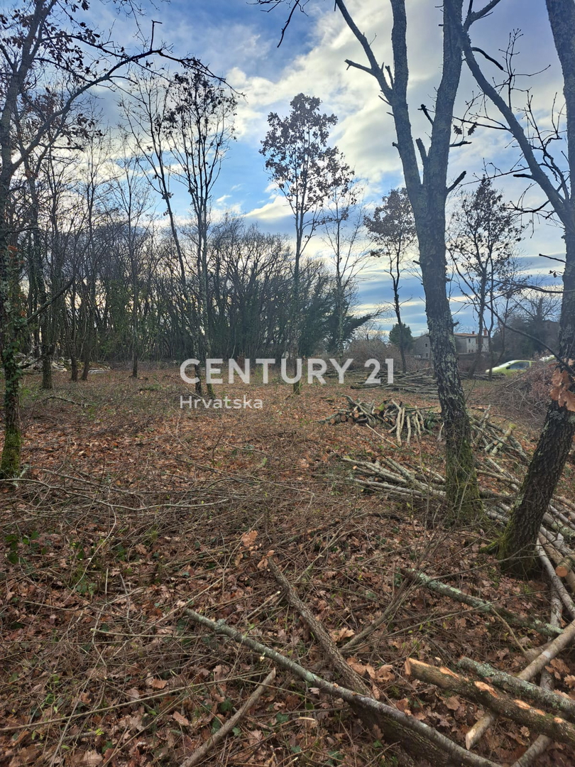 TINJAN, PRODAJA GRADBENEGA ZEMLJIŠČA NA ROBU URBANIZACIJE