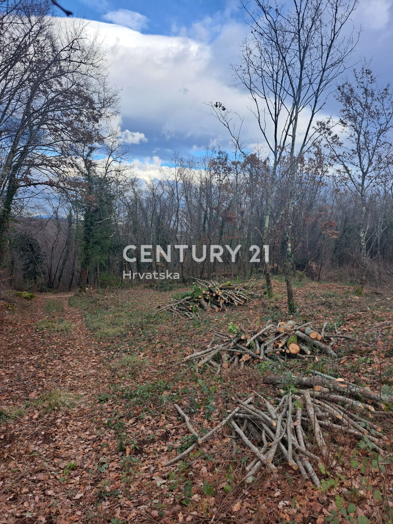 TINJAN, PRODAJA GRADBENEGA ZEMLJIŠČA NA ROBU URBANIZACIJE