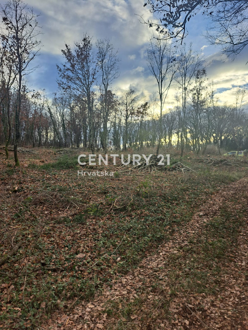 TINJAN, PRODAJA GRADBENEGA ZEMLJIŠČA NA ROBU URBANIZACIJE