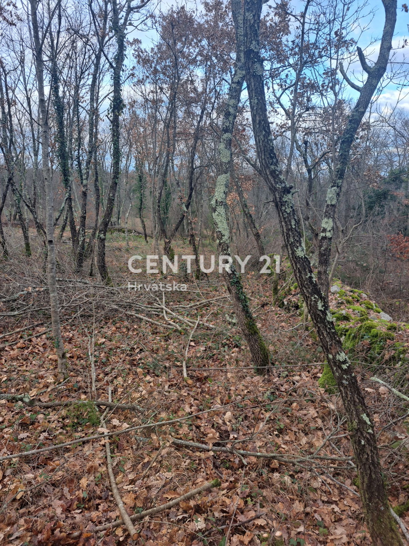 TINJAN, PRODAJA GRADBENEGA ZEMLJIŠČA NA ROBU URBANIZACIJE