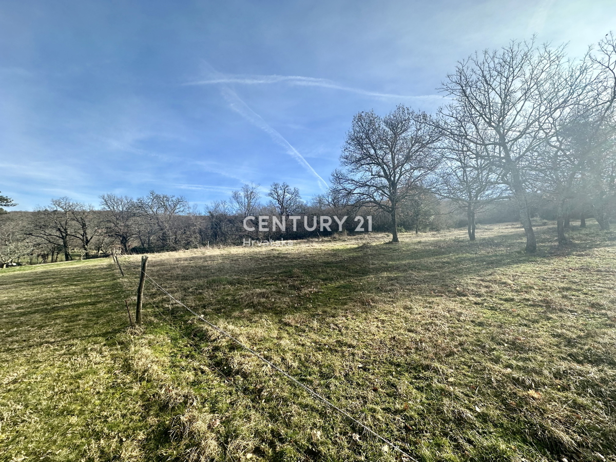 LABIN, KRŠAN, HIŠA Z DVEMA STANOVANJEMA IN VELIKIM DVORIŠČEM NA MIRNI LOKACIJI