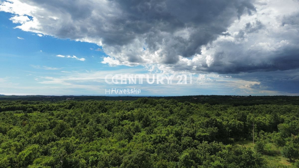 Prodaja, zemljišče, zazidljivo, Istarska županija, Sveti Lovreč