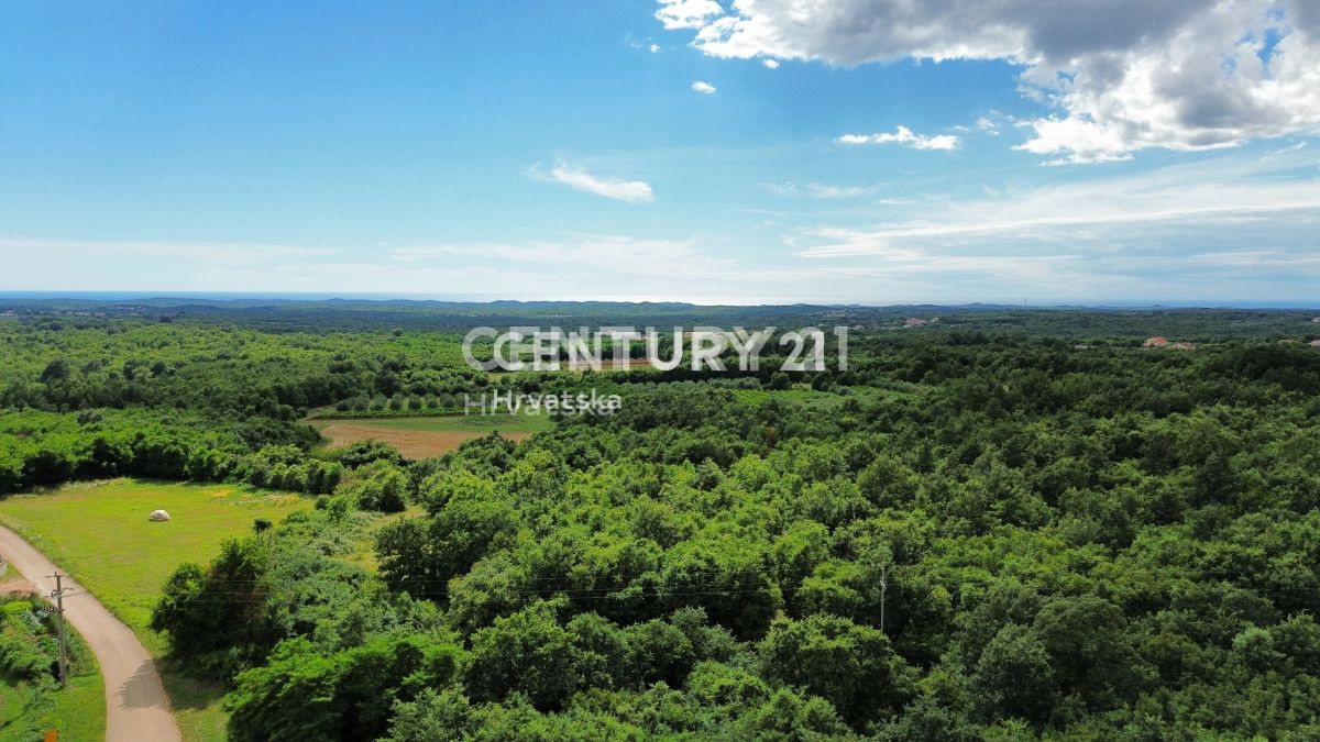 Prodaja, zemljišče, zazidljivo, Istarska županija, Sveti Lovreč