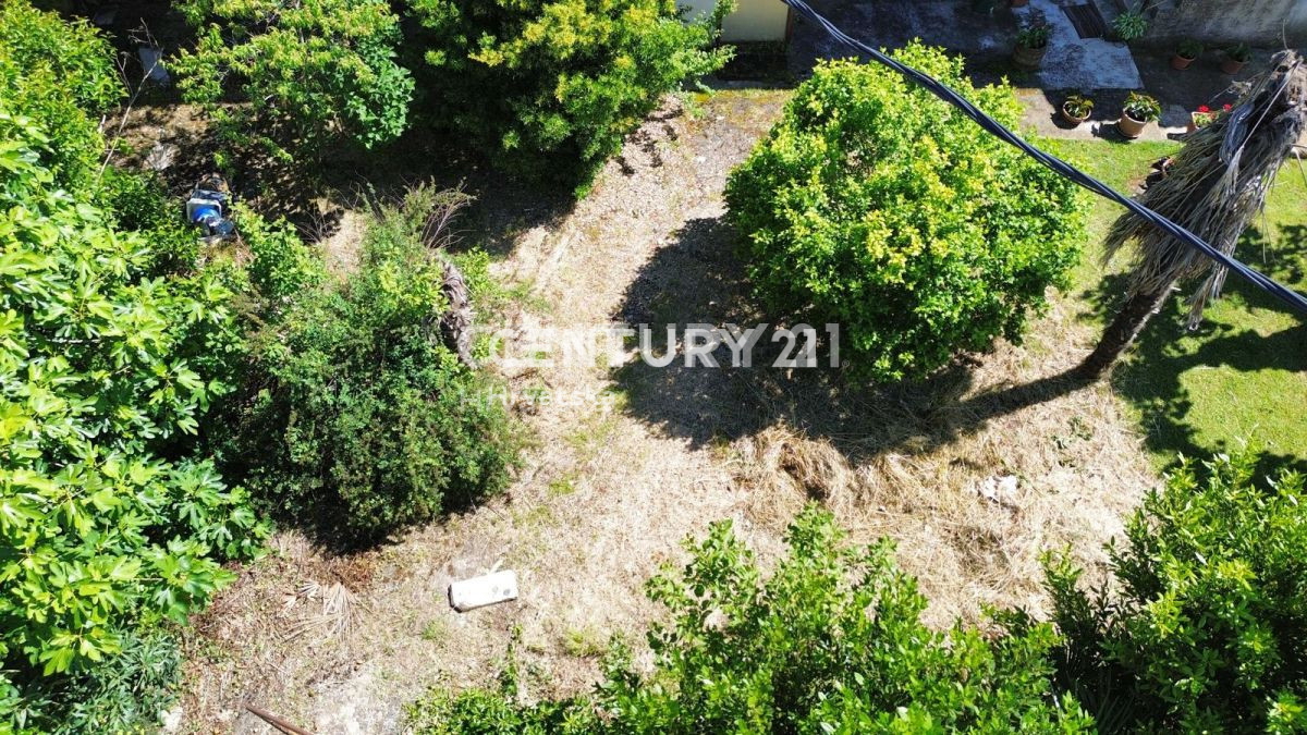 Prodaja, dvojna hiša, Istarska županija, Novigrad