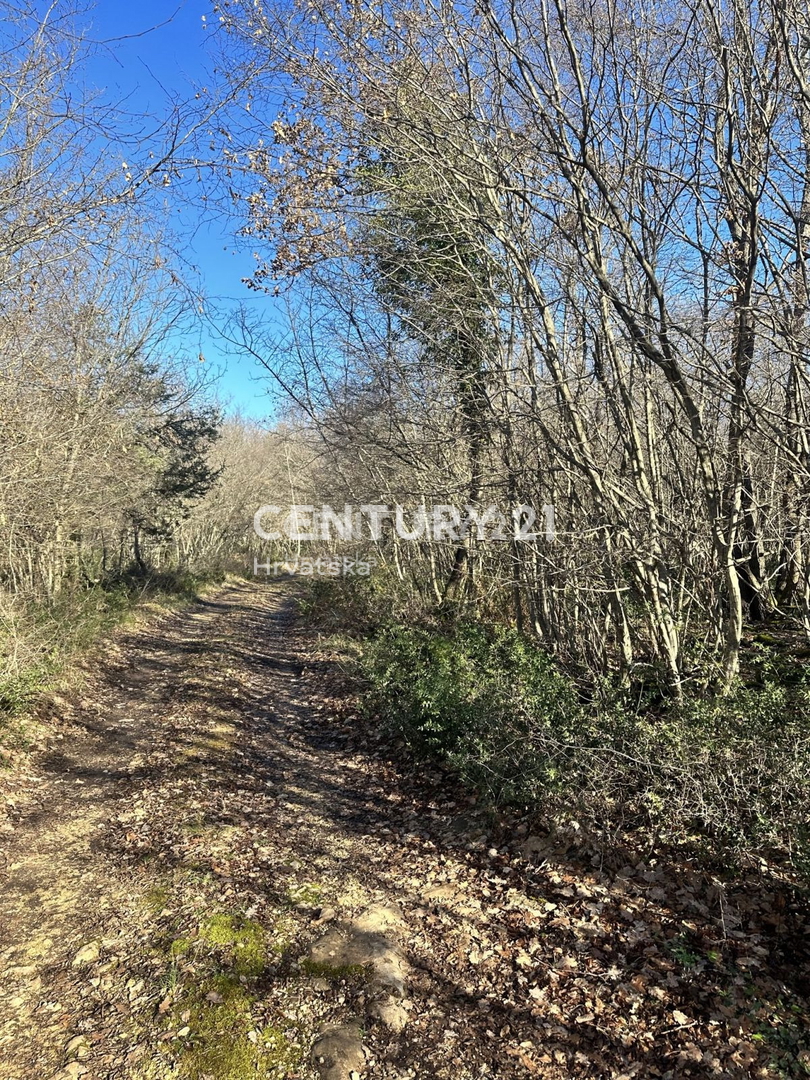 Prodaja, zemljišče, gradbeno, Istarska županija, Poreč, Baderna