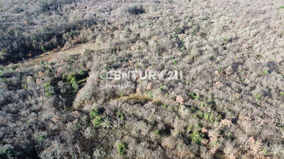 Prodaja, zemljišče, gradbeno, Istarska županija, Poreč, Baderna