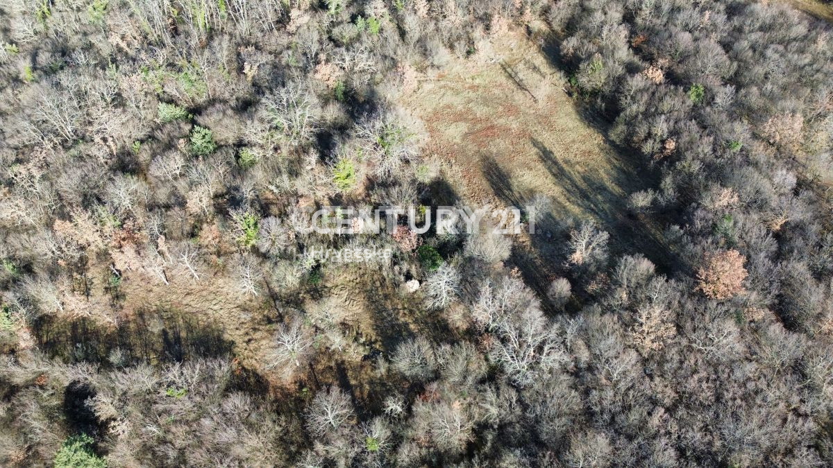 Prodaja, zemljišče, gradbeno, Istarska županija, Poreč, Baderna