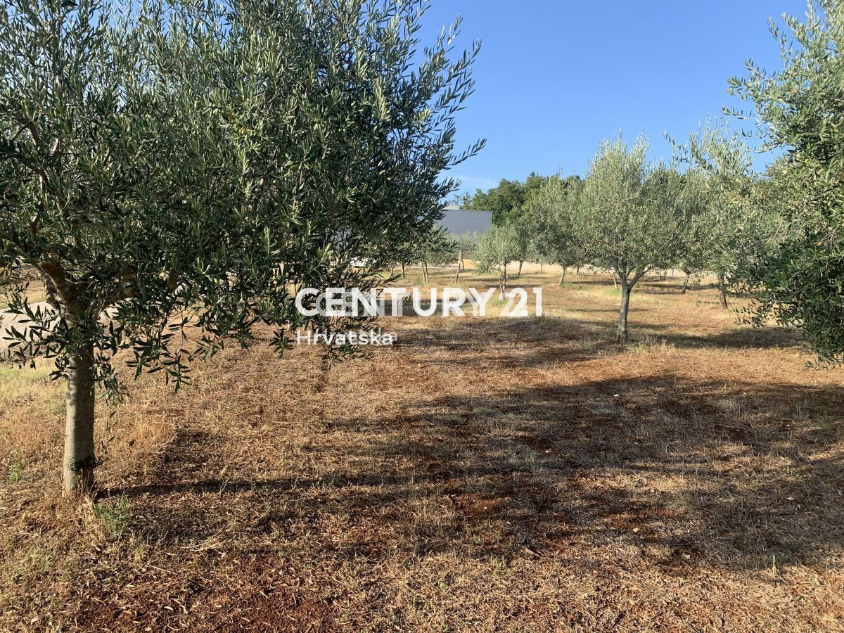 Prodaja, zemljišče, zazidljivo, Istarska županija, Brtonigla