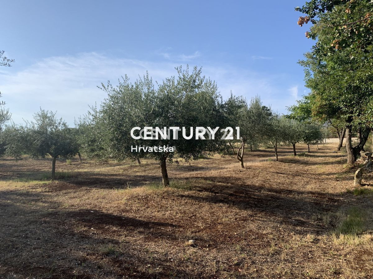 Prodaja, zemljišče, zazidljivo, Istarska županija, Brtonigla