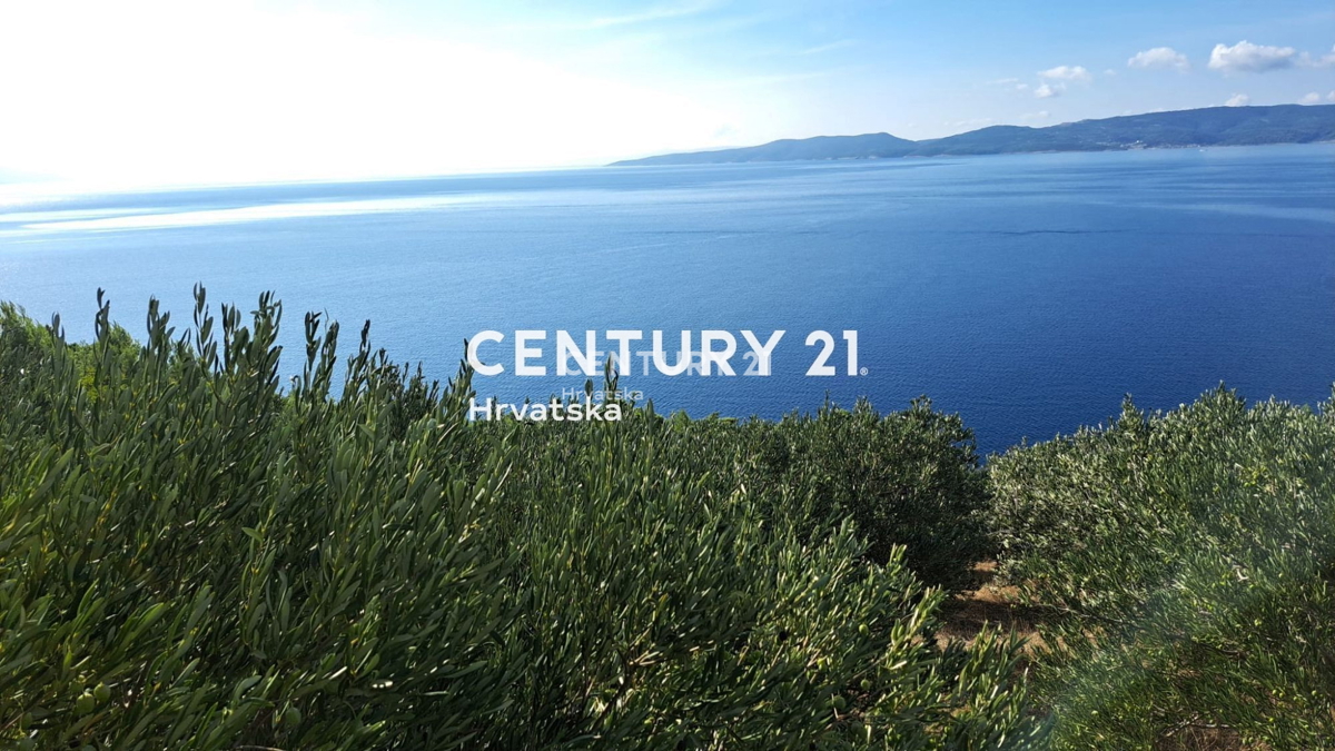 OMIŠ, PISAK, KMETIJSKO ZEMLJIŠČE (OLJČNJAK) 100 M OD MORJA