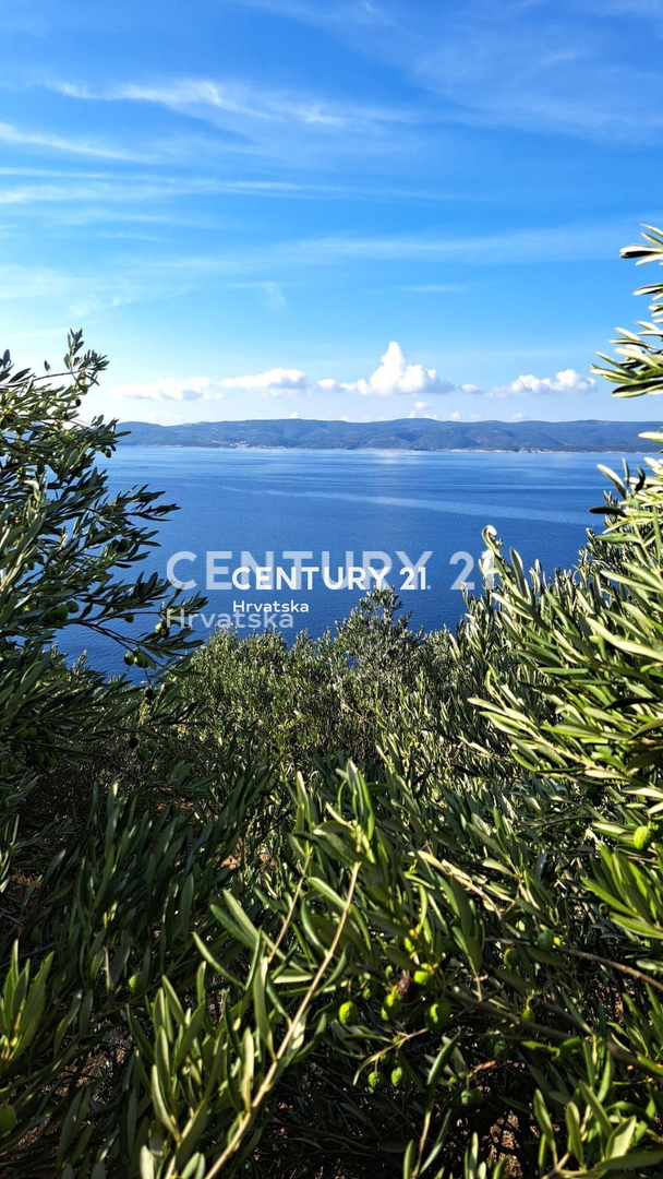 OMIŠ, PISAK, KMETIJSKO ZEMLJIŠČE (OLJČNJAK) 100 M OD MORJA