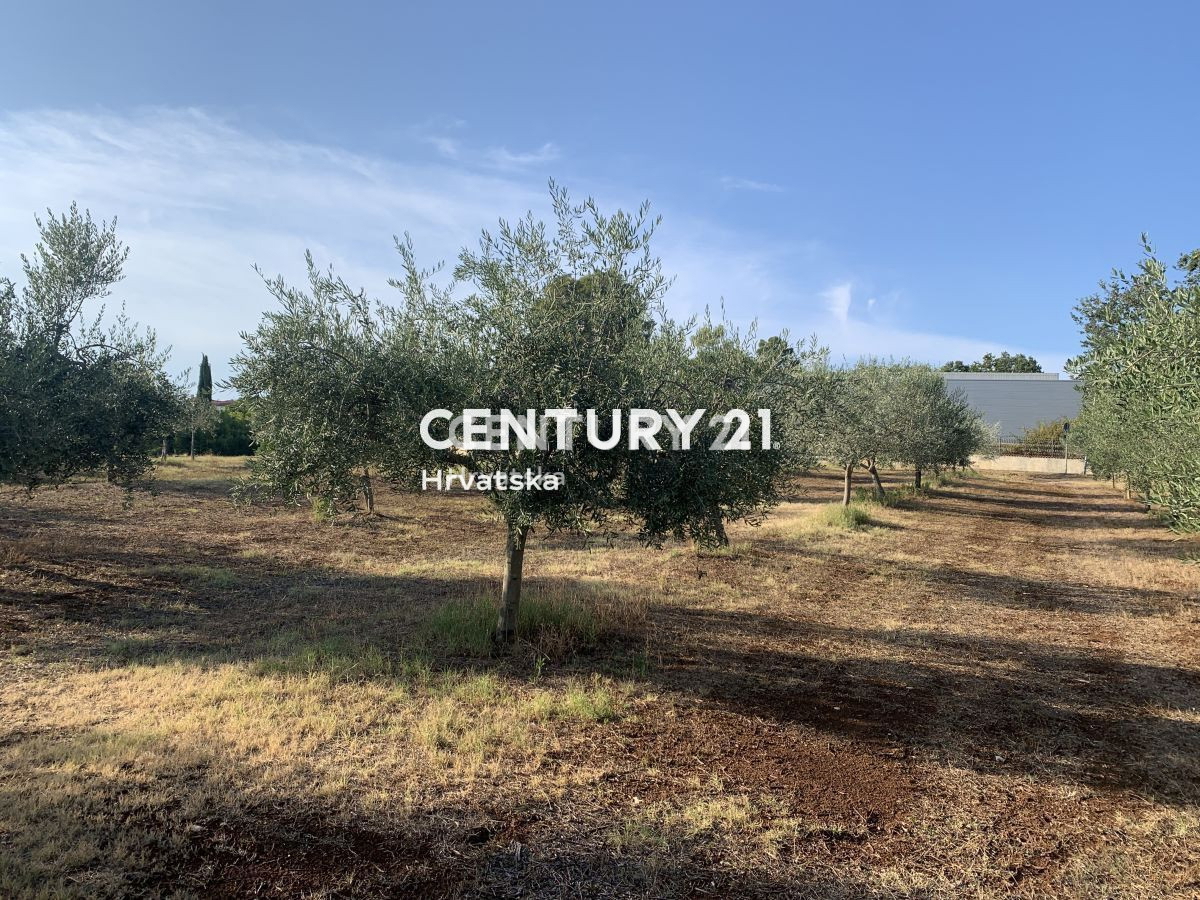 Prodaja, zemljišče, gradbeno, Istarska županija, Brtonigla