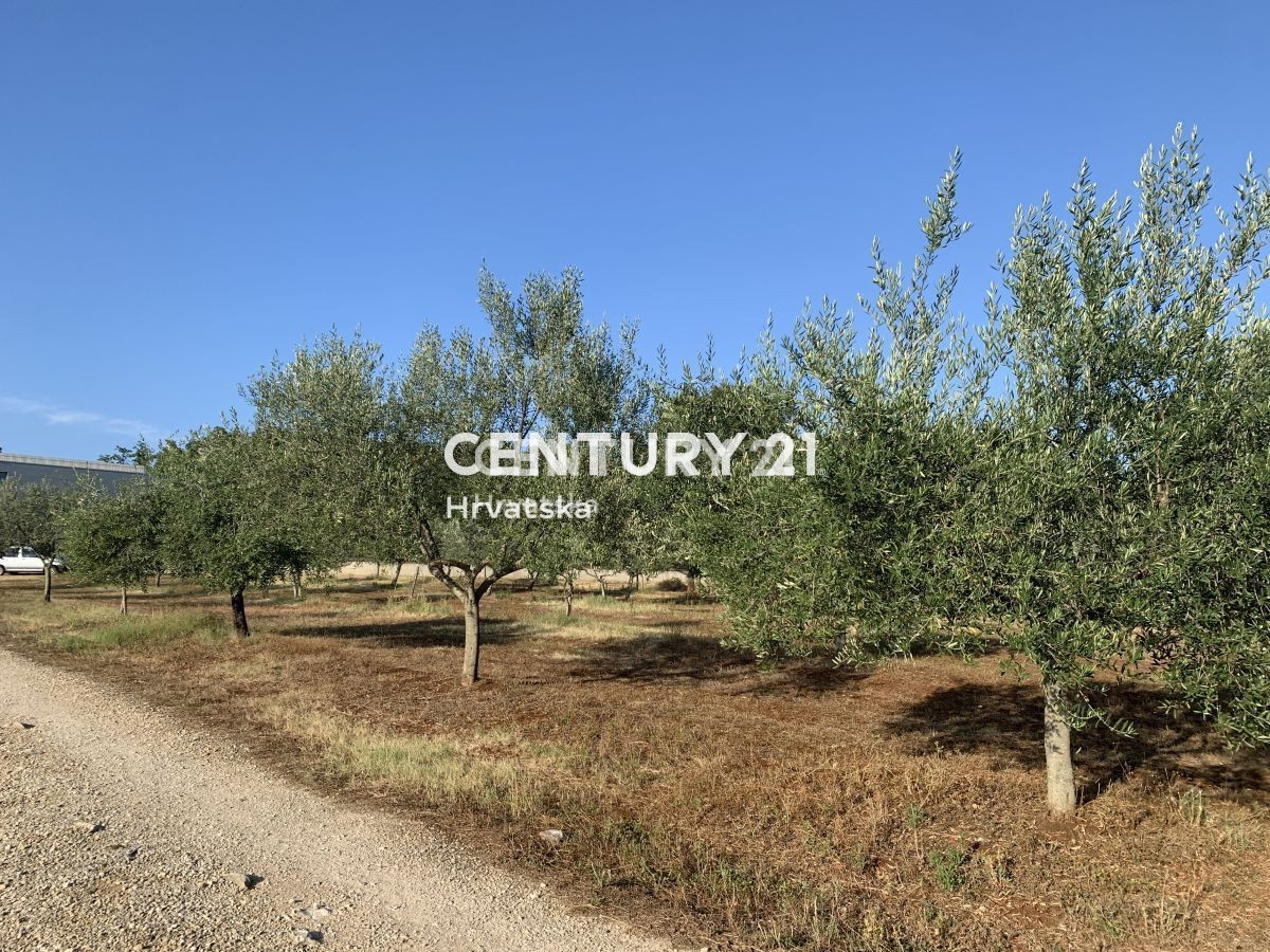 Prodaja, zemljišče, gradbeno, Istarska županija, Brtonigla