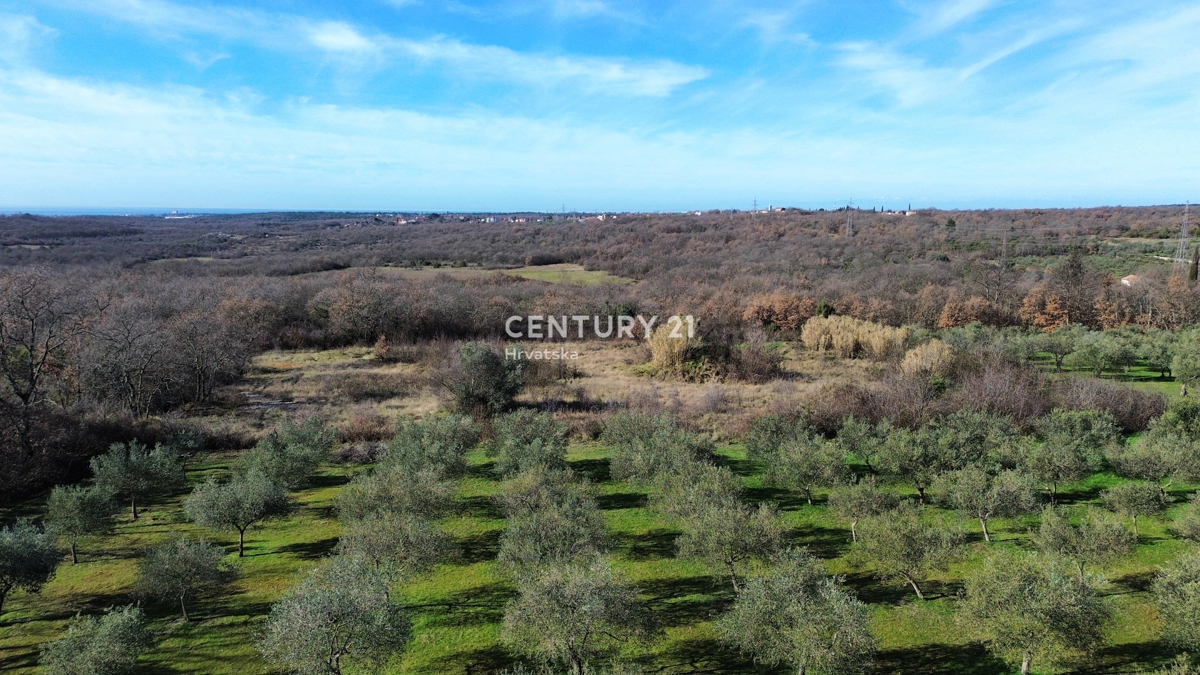 UMAG, OKOLICA, GRADBENO ZEMLJIŠČE S POMEMBNIM POTENCIALOM