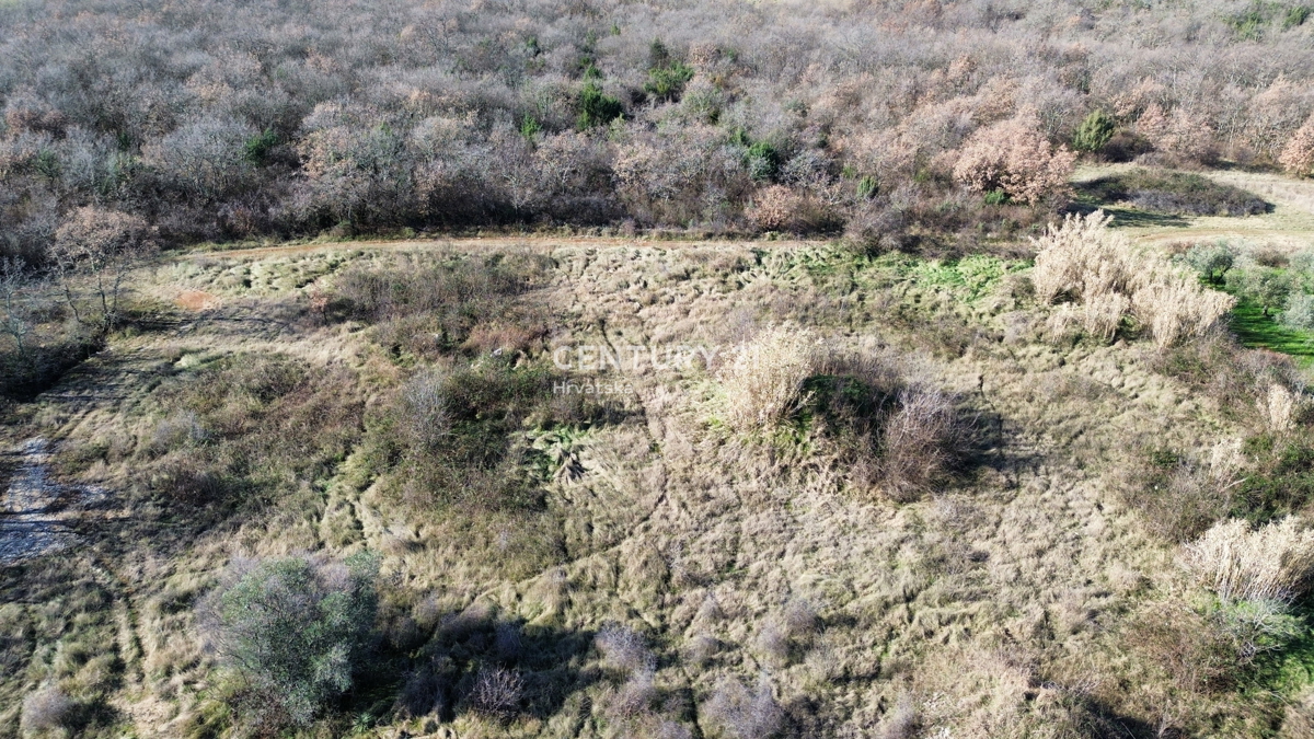 UMAG, OKOLICA, GRADBENO ZEMLJIŠČE S POMEMBNIM POTENCIALOM