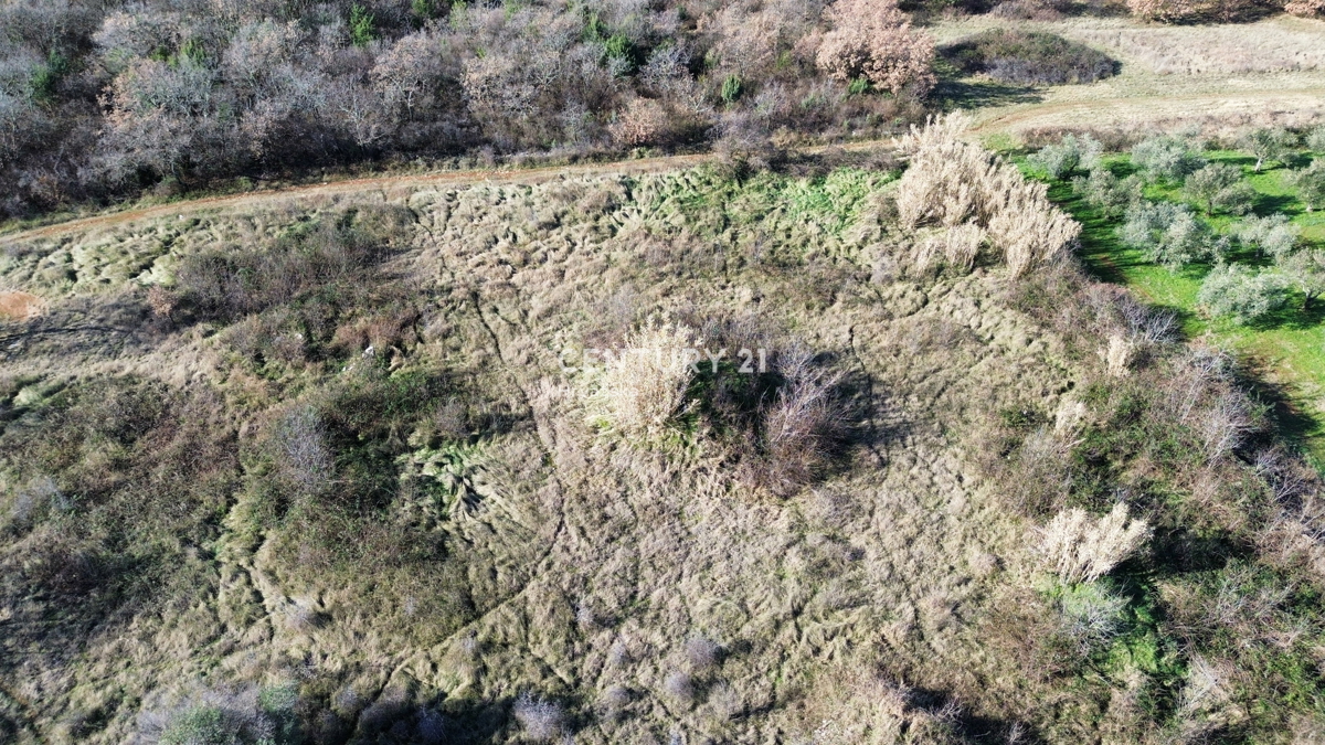 UMAG, OKOLICA, GRADBENO ZEMLJIŠČE S POMEMBNIM POTENCIALOM