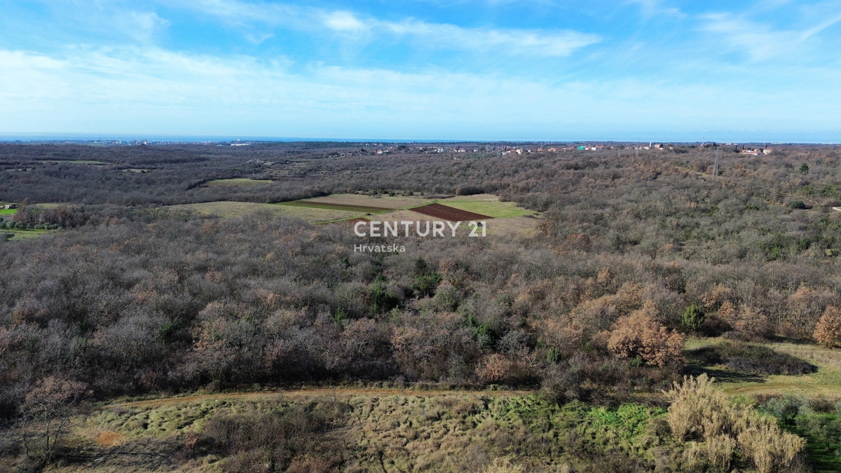 UMAG, OKOLICA, GRADBENO ZEMLJIŠČE S POMEMBNIM POTENCIALOM