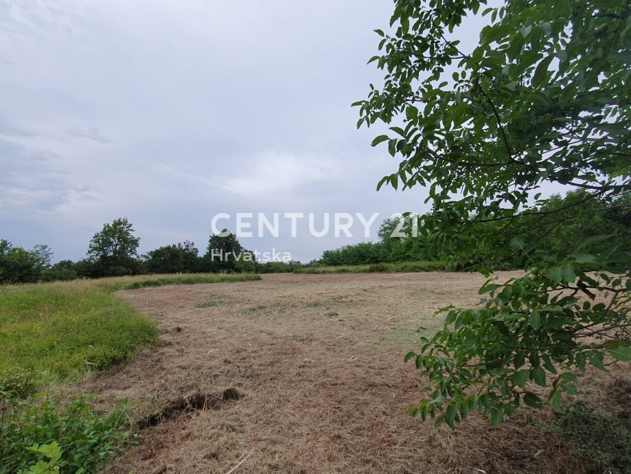 BRTONIGLA, PRODAJA GRADBENI ZEMLJIŠČE Z GRADBENO DOVOLJENJO ZA ČUDOVITO VILO, POGLED NA MORJE