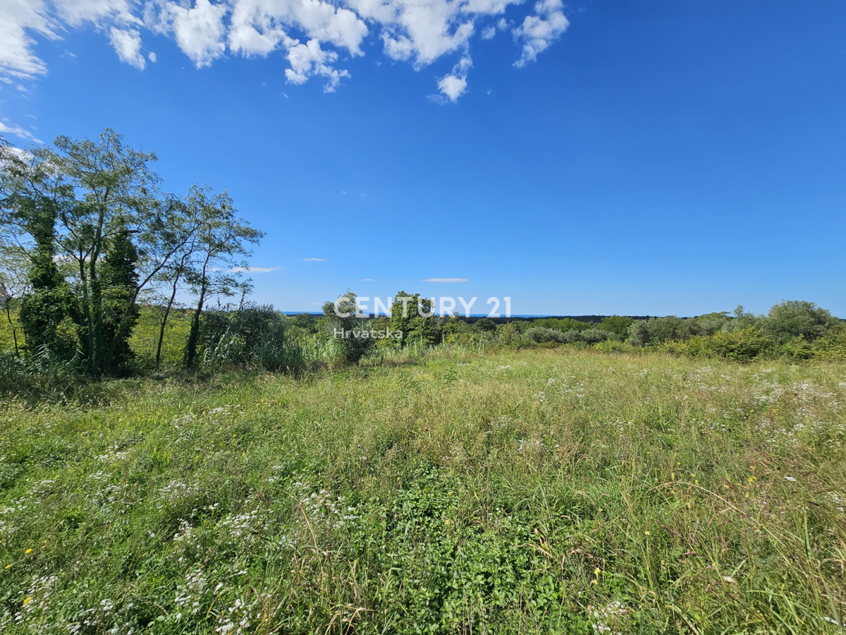 BRTONIGLA, PRODAJA GRADBENI ZEMLJIŠČE Z GRADBENO DOVOLJENJO ZA ČUDOVITO VILO, POGLED NA MORJE