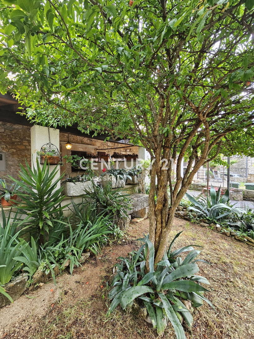 VABRIGA, PRODAJA KAMNITE HIŠE, PRVA V VRSTI