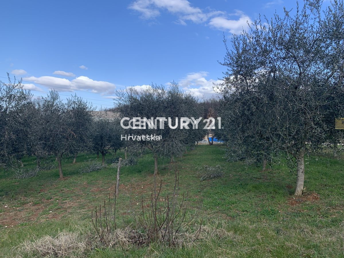 Prodaja, zemljišče, gradbeno, Istarska županija, Vižinada