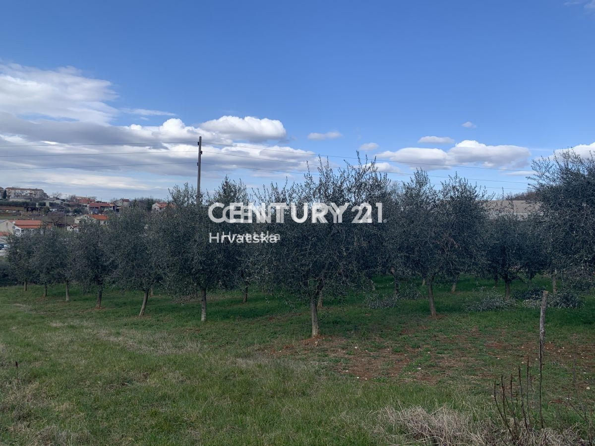 Prodaja, zemljišče, gradbeno, Istarska županija, Vižinada